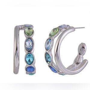 💙 My earrings 💙